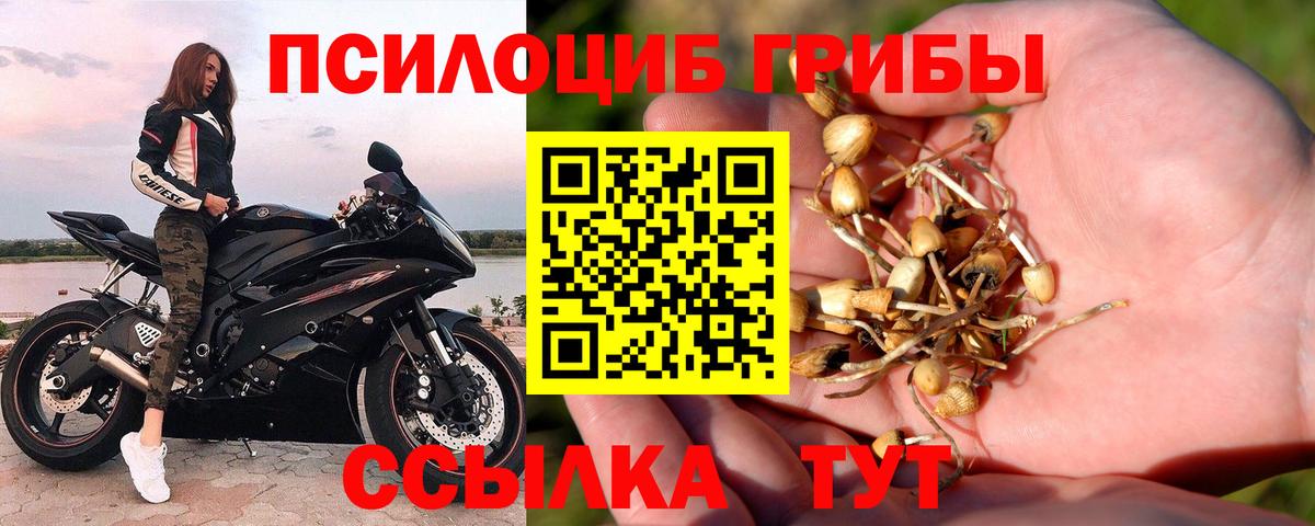 Нягань  Галлюциногенные грибы прущие грибы  Вход с VPN 
