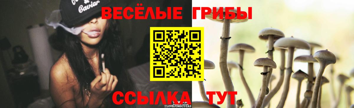 Псилоцибиновые грибы ЛСД Нягань